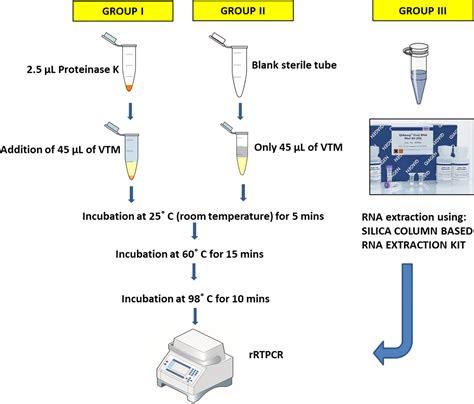 amatr prok|Guide on How to Use Proteinase K in Different Procedures